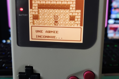 GB-DMG-Fat-003