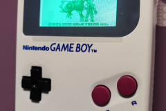 GB-DMG-Fat-004